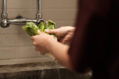 A person's hands are shown rinsing a head of green lettuce under a stream of water from a chrome kitchen faucet.