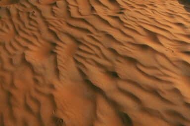 Wavy, orange-red sand dunes in a desert landscape, showing the rippled textures and soft shadows created by the sun.