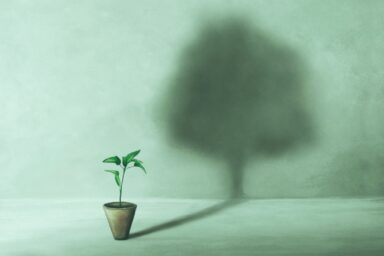 A small green plant in a pot casts a large, full shadow of a tree on a green wall, representing building better mental health.