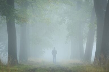 A solitary figure walks through a dense, fog-covered forest, evoking a sense of grieving.