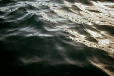 Sunlight reflects off the surface of dark, rippling water.