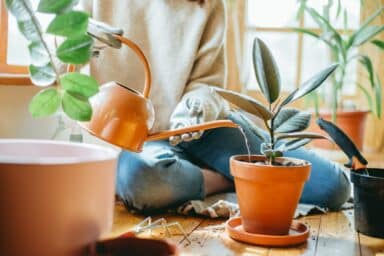 A person wearing gloves uses a copper-colored watering can to water a potted plant, representing cultivating happiness.