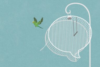 Green parakeet flying away from a white birdcage shaped like a speech bubble on a teal background.