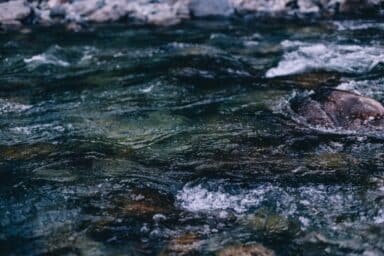 Close-up of a rocky river with white water ripples and small waves flowing over dark stones.