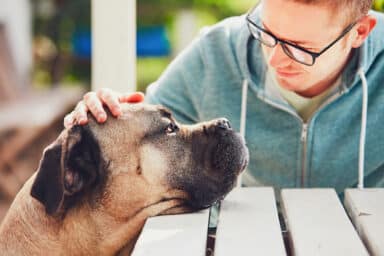 A man with glasses seated on a bench strokes his dog, illustrating the pain of losing a pet.