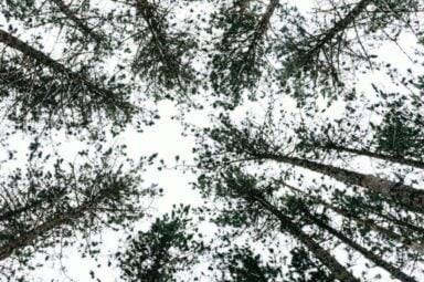 A neat, uniform stack of five rectangular wooden blocks on a neutral tan surface, representing the symmetry and order associated with obsessive-compulsive disorder.