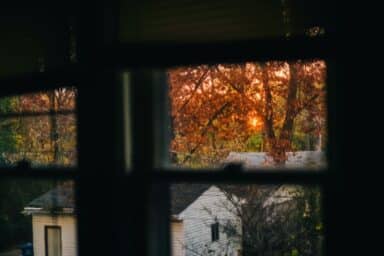 Trees and deserted buildings viewed through a shadowy window frame, suggesting the paranoia associated with paranoid personality disorder.
