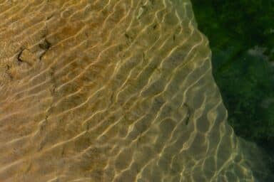 Sunlight creates rippling, wavy patterns of light and shadow across shallow water over a sandy, rocky bed.